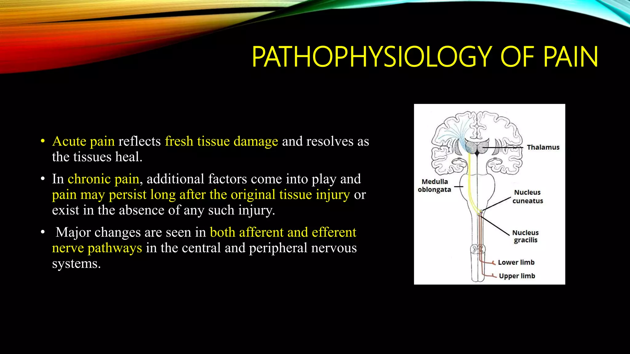 PATHOPHYSIOLOGY OF PAIN
• Acute pain reflects fresh tissue damage and resolves as
the tissues heal.
• In chronic pain, additional factors come into play and
pain may persist long after the original tissue injury or
exist in the absence of any such injury.
• Major changes are seen in both afferent and efferent
nerve pathways in the central and peripheral nervous
systems.
 