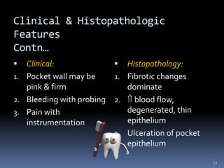 Clinical & Histopathologic
Features
Contn…
 Clinical:
1. Pocket wall may be
pink & firm
2. Bleeding with probing
3. Pain with
instrumentation
 Histopathology:
1. Fibrotic changes
dominate
2.  blood flow,
degenerated, thin
epithelium
3. Ulceration of pocket
epithelium
23
 