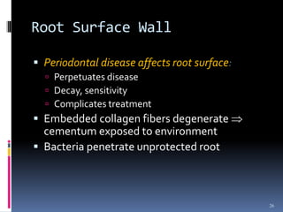 Root Surface Wall
 Periodontal disease affects root surface:
 Perpetuates disease
 Decay, sensitivity
 Complicates treatment
 Embedded collagen fibers degenerate 
cementum exposed to environment
 Bacteria penetrate unprotected root
26
 