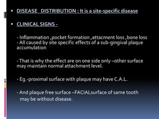  DISEASE DISTRIBUTION : It is a site-specific disease
 CLINICAL SIGNS -
- Inflammation ,pocket formation ,attacment loss ,bone loss
- All caused by site specific effects of a sub-gingival plaque
accumulation
-That is why the effect are on one side only –other surface
may maintain normal attachment level.
- Eg.-proximal surface with plaque may have C.A.L.
- And plaque free surface –FACIALsurface of same tooth
may be without disease.
 