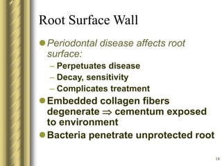 18
Root Surface Wall
Periodontal disease affects root
surface:
– Perpetuates disease
– Decay, sensitivity
– Complicates treatment
Embedded collagen fibers
degenerate  cementum exposed
to environment
Bacteria penetrate unprotected root
 