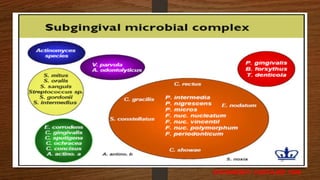 32
SOCRANSKY ,HAFFAJEE 1998
 