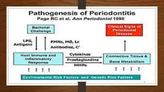 PATHOGENESIS
CP is initiated and sustained by bacterial plaque, but host
defense mechanism plays an integral role on its pathogenesis.
56
 