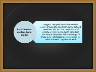suggests that periodontal destruction
occurs around affected teeth during defined
periods of life, and that these bursts of
activity are interspersed with periods of
inactivity or remission. The chronology of
these bursts of disease is asynchronous for
individual teeth or groups of teeth
Asynchronous,
multiple-burst
model
 