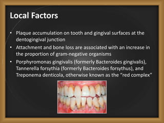 Local Factors
• Plaque accumulation on tooth and gingival surfaces at the
dentogingival junction
• Attachment and bone loss are associated with an increase in
the proportion of gram-negative organisms
• Porphyromonas gingivalis (formerly Bacteroides gingivalis),
Tannerella forsythia (formerly Bacteroides forsythus), and
Treponema denticola, otherwise known as the “red complex”
 