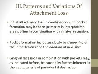III. Patterns and Variations Of
Attachment Loss
• Initial attachment loss in combination with pocket
formation may be seen primarily in interproximal
areas, often in combination with gingival recession.
• Pocket formation increases slowly by deepening of
the initial lesions and the addition of new sites.
• Gingival recession in combination with pockets may,
as indicated before, be caused by factors inherent in
the pathogenesis of periodontal destruction.
 