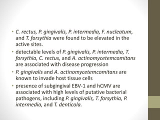 • C. rectus, P. gingivalis, P. intermedia, F. nucleatum,
and T. forsythia were found to be elevated in the
active sites.
• detectable levels of P. gingivalis, P. intermedia, T.
forsythia, C. rectus, and A. actinomycetemcomitans
are associated with disease progression
• P. gingivalis and A. actinomycetemcomitans are
known to invade host tissue cells
• presence of subgingival EBV-1 and hCMV are
associated with high levels of putative bacterial
pathogens, including P. gingivalis, T. forsythia, P.
intermedia, and T. denticola.
 