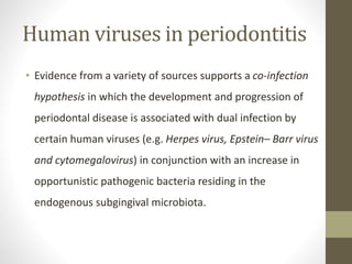 Human viruses in periodontitis
• Evidence from a variety of sources supports a co-infection
hypothesis in which the development and progression of
periodontal disease is associated with dual infection by
certain human viruses (e.g. Herpes virus, Epstein– Barr virus
and cytomegalovirus) in conjunction with an increase in
opportunistic pathogenic bacteria residing in the
endogenous subgingival microbiota.
 