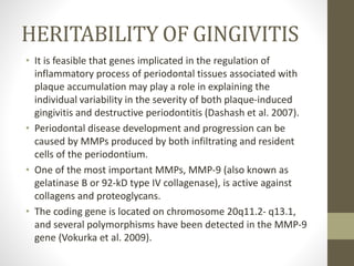 HERITABILITY OF GINGIVITIS
• It is feasible that genes implicated in the regulation of
inflammatory process of periodontal tissues associated with
plaque accumulation may play a role in explaining the
individual variability in the severity of both plaque-induced
gingivitis and destructive periodontitis (Dashash et al. 2007).
• Periodontal disease development and progression can be
caused by MMPs produced by both infiltrating and resident
cells of the periodontium.
• One of the most important MMPs, MMP-9 (also known as
gelatinase B or 92-kD type IV collagenase), is active against
collagens and proteoglycans.
• The coding gene is located on chromosome 20q11.2- q13.1,
and several polymorphisms have been detected in the MMP-9
gene (Vokurka et al. 2009).
 