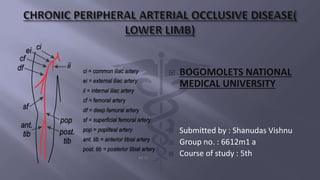  BOGOMOLETS NATIONAL
MEDICAL UNIVERSITY
 Submitted by : Shanudas Vishnu
 Group no. : 6612m1 a
 Course of study : 5th
 