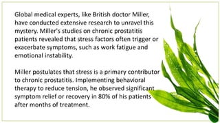 Global medical experts, like British doctor Miller,
have conducted extensive research to unravel this
mystery. Miller's studies on chronic prostatitis
patients revealed that stress factors often trigger or
exacerbate symptoms, such as work fatigue and
emotional instability.
Miller postulates that stress is a primary contributor
to chronic prostatitis. Implementing behavioral
therapy to reduce tension, he observed significant
symptom relief or recovery in 80% of his patients
after months of treatment.
 