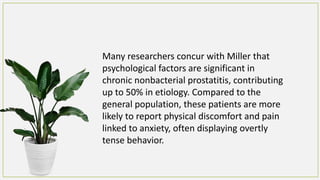 Many researchers concur with Miller that
psychological factors are significant in
chronic nonbacterial prostatitis, contributing
up to 50% in etiology. Compared to the
general population, these patients are more
likely to report physical discomfort and pain
linked to anxiety, often displaying overtly
tense behavior.
 