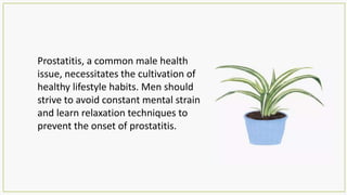 Prostatitis, a common male health
issue, necessitates the cultivation of
healthy lifestyle habits. Men should
strive to avoid constant mental strain
and learn relaxation techniques to
prevent the onset of prostatitis.
 
