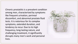Chronic prostatitis is a prevalent condition
among men, characterized by symptoms
like frequent urination, perineal
discomfort, and abnormal prostate fluid
tests. It is notorious for its complex
symptoms, extended duration, and
tendency to recur. Due to its high
frequency, long-lasting nature, and
challenging treatment, it significantly
disrupts many men's work and personal
lives.
 