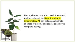 Hence, chronic prostatitis needs treatment.
And herbal medicine Diuretic and Anti-
inflammatory Pill can help men eliminate
all these symptoms and causes to achieve a
complete healing.
 