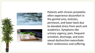 Patients with chronic prostatitis
often experience discomfort in
the genital area, testicles,
perineum, and lower back due
to elevated stress from work and
academics. Symptoms like
urinary urgency, pain, frequent
urination, discharge, and even
sexual dysfunction exacerbate
their restlessness and suffering.
 