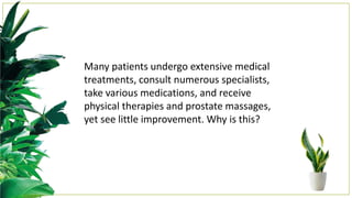 Many patients undergo extensive medical
treatments, consult numerous specialists,
take various medications, and receive
physical therapies and prostate massages,
yet see little improvement. Why is this?
 