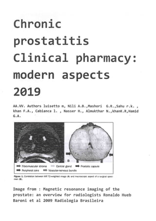 Chronic prostatitis clinical pharmacy modern aspects 2019 luisetto et al