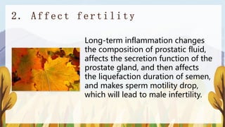 Long-term inflammation changes
the composition of prostatic fluid,
affects the secretion function of the
prostate gland, and then affects
the liquefaction duration of semen,
and makes sperm motility drop,
which will lead to male infertility.
 