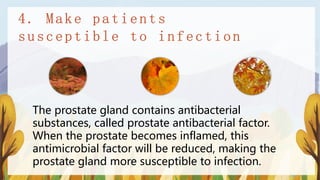 The prostate gland contains antibacterial
substances, called prostate antibacterial factor.
When the prostate becomes inflamed, this
antimicrobial factor will be reduced, making the
prostate gland more susceptible to infection.
 