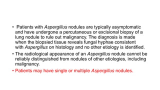 • Patients with Aspergillus nodules are typically asymptomatic
and have undergone a percutaneous or excisional biopsy of a
lung nodule to rule out malignancy. The diagnosis is made
when the biopsied tissue reveals fungal hyphae consistent
with Aspergillus on histology and no other etiology is identified.
• The radiological appearance of an Aspergillus nodule cannot be
reliably distinguished from nodules of other etiologies, including
malignancy.
• Patients may have single or multiple Aspergillus nodules.
 