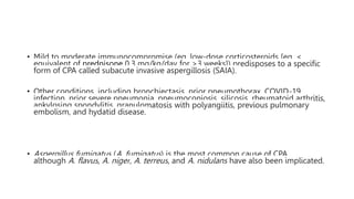 • Mild to moderate immunocompromise (eg, low-dose corticosteroids [eg, <
equivalent of prednisone 0.3 mg/kg/day for >3 weeks]) predisposes to a specific
form of CPA called subacute invasive aspergillosis (SAIA).
• Other conditions, including bronchiectasis, prior pneumothorax, COVID-19
infection, prior severe pneumonia, pneumoconiosis, silicosis, rheumatoid arthritis,
ankylosing spondylitis, granulomatosis with polyangiitis, previous pulmonary
embolism, and hydatid disease.
• Aspergillus fumigatus (A. fumigatus) is the most common cause of CPA,
although A. flavus, A. niger, A. terreus, and A. nidulans have also been implicated.
 
