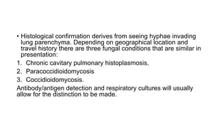 • Histological confirmation derives from seeing hyphae invading
lung parenchyma. Depending on geographical location and
travel history there are three fungal conditions that are similar in
presentation:
1. Chronic cavitary pulmonary histoplasmosis,
2. Paracoccidioidomycosis
3. Coccidioidomycosis.
Antibody/antigen detection and respiratory cultures will usually
allow for the distinction to be made.
 