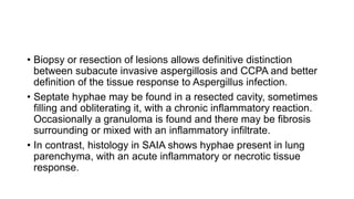 • Biopsy or resection of lesions allows definitive distinction
between subacute invasive aspergillosis and CCPA and better
definition of the tissue response to Aspergillus infection.
• Septate hyphae may be found in a resected cavity, sometimes
filling and obliterating it, with a chronic inflammatory reaction.
Occasionally a granuloma is found and there may be fibrosis
surrounding or mixed with an inflammatory infiltrate.
• In contrast, histology in SAIA shows hyphae present in lung
parenchyma, with an acute inflammatory or necrotic tissue
response.
 
