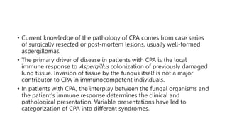 • Current knowledge of the pathology of CPA comes from case series
of surgically resected or post-mortem lesions, usually well-formed
aspergillomas.
• The primary driver of disease in patients with CPA is the local
immune response to Aspergillus colonization of previously damaged
lung tissue. Invasion of tissue by the fungus itself is not a major
contributor to CPA in immunocompetent individuals.
• In patients with CPA, the interplay between the fungal organisms and
the patient's immune response determines the clinical and
pathological presentation. Variable presentations have led to
categorization of CPA into different syndromes.
 