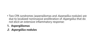 • Two CPA syndromes (aspergillomas and Aspergillus nodules) are
due to localized noninvasive proliferation of Aspergillus that do
not elicit an extensive inflammatory response:
1. Aspergillomas
2. Aspergillus nodules
 