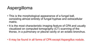 Aspergilloma
• This is the morphological appearance of a fungal ball,
consisting almost entirely of fungal hyphae and extracellular
matrix.
• It is the most characteristic imaging feature of CPA and usually
visualized on computed tomography (CT) scanning of the
thorax, in a pulmonary or pleural cavity or an ectatic bronchus.
• It may be found in all forms of CPA except Aspergillus nodule.
 