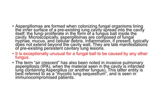 • Aspergillomas are formed when colonizing fungal organisms lining
the inner surface of a pre-existing lung cavity spread into the cavity
itself; the fungi proliferate in the form of a fungus ball inside the
cavity. Microscopically, aspergillomas are composed of fungal
hyphae, mucus, and cellular debris. Inflammation, if present, typically
does not extend beyond the cavity wall. They are late manifestations
of pre-existing persistent cavitary lung lesions.
• It is exceptionally unusual for a fungal ball to be caused by any other
fungus.
• The term “air crescent” has also been noted in invasive pulmonary
aspergillosis (IPA), when the material seen in the cavity is infarcted
lung containing Aspergillus (or another fungus). This latter entity is
best referred to as a “mycotic lung sequestrum”, and is seen in
immunocompromised patients.
 
