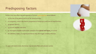 Predisposing factors
Factors that may affect the pathogenesis of chronic pyelonephritis are as follows:
▪ (1) the sex of the patient and his or her sexual activity;
▪ (2) pregnancy, which may lead to progression of renal injury with loss of renal function;
▪ (3) genetic factors;
▪ (4) chronic bladder infections
▪ (5) neurogenic bladder dysfunction. paralysis from spinal cord injury, or tumors
▪ (6) Catheters, tubes, or surgical procedures may also trigger a kidney infection.
In cases with obstruction, the kidney may become filled with abscess cavities
 