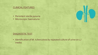 CLINICAL FEATURES
• Persistent sterile pyouria
• Microscopic haematuria
DIAGNOSTICTEST
• Identification of M. tuberculosis by repeated culture of urine on LJ
media
 