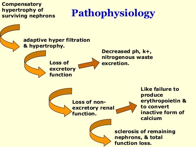 Chronic Renal Failure (End Stage Renal Failure)