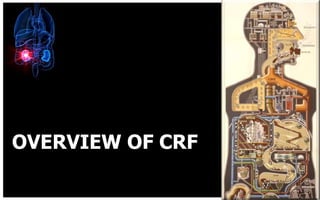 OVERVIEW OF CRF
 