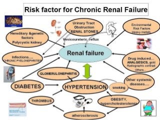 CRF - CausesCRF - Causes
Glomerulonephritis – the most
common cause in the past
Diabetes mellitus
Hypertension
Tubuloi...