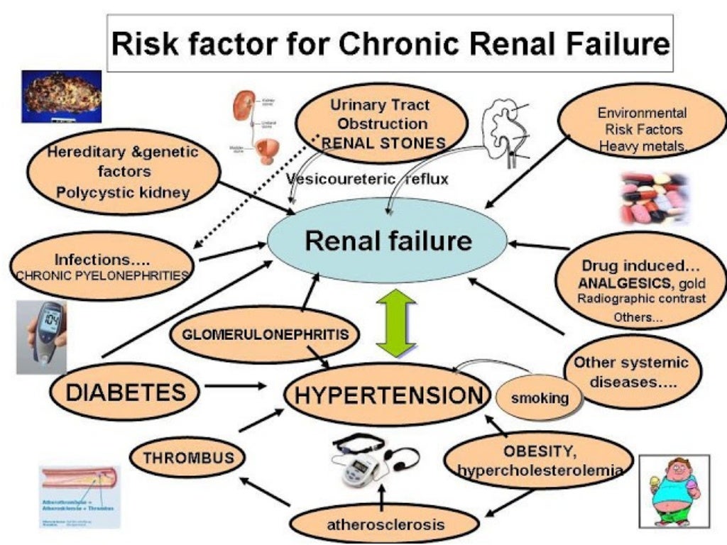 Treatment for Chronic Renal Failure / CKD