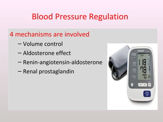 Blood Pressure Regulation
4 mechanisms are involved
– Volume control
– Aldosterone effect
– Renin-angiotensin-aldosterone
– Renal prostaglandin
 
