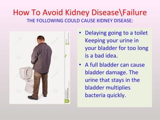 How To Avoid Kidney DiseaseFailure
THE FOLLOWING COULD CAUSE KIDNEY DISEASE:
• Delaying going to a toilet
Keeping your urine in
your bladder for too long
is a bad idea.
• A full bladder can cause
bladder damage. The
urine that stays in the
bladder multiplies
bacteria quickly.
 