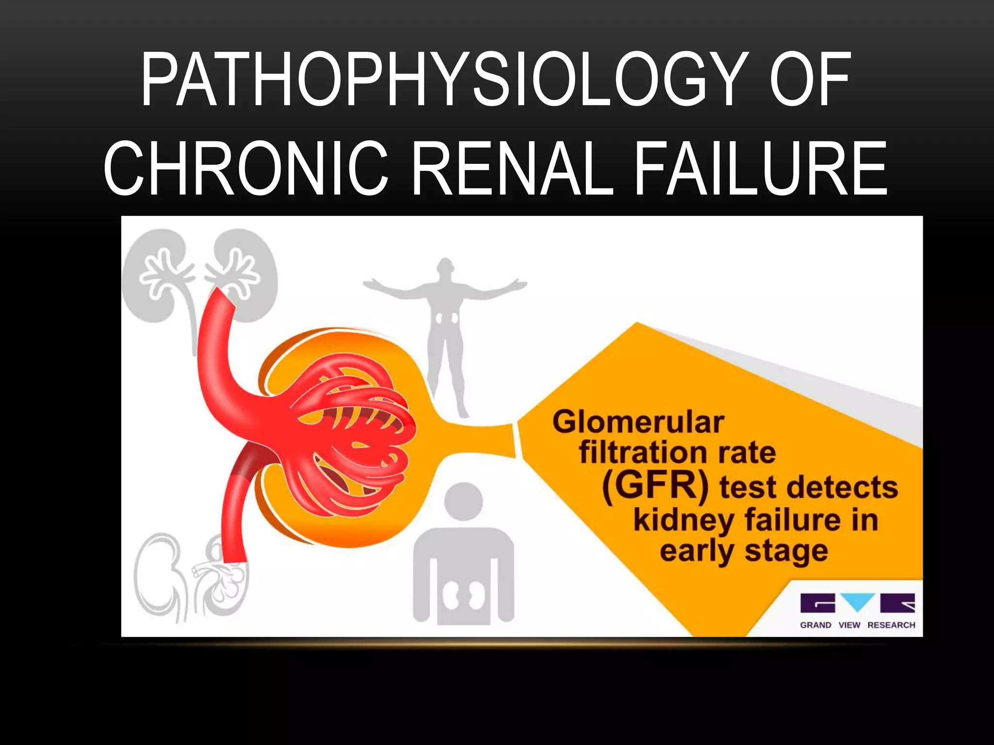 Studies flag rising threat of chronic kidney disease