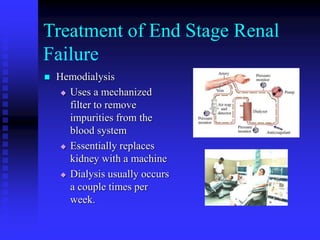 Treatment of End Stage Renal
Failure
 Hemodialysis
 Uses a mechanized
filter to remove
impurities from the
blood system
 Essentially replaces
kidney with a machine
 Dialysis usually occurs
a couple times per
week.
 