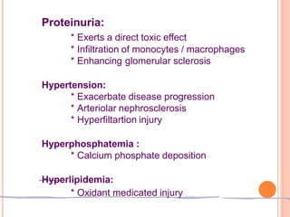 Proteinuria:
* Exerts a direct toxic effect
* Infiltration of monocytes / macrophages
* Enhancing glomerular sclerosis
Hypertension:
* Exacerbate disease progression
* Arteriolar nephrosclerosis
* Hyperfiltartion injury
Hyperphosphatemia :
* Calcium phosphate deposition
Hyperlipidemia:
* Oxidant medicated injury
 