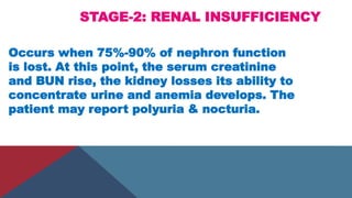 STAGE-2: RENAL INSUFFICIENCY
Occurs when 75%-90% of nephron function
is lost. At this point, the serum creatinine
and BUN rise, the kidney losses its ability to
concentrate urine and anemia develops. The
patient may report polyuria & nocturia.
 