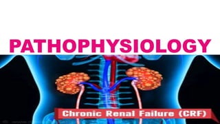 PATHOPHYSIOLOGY
 