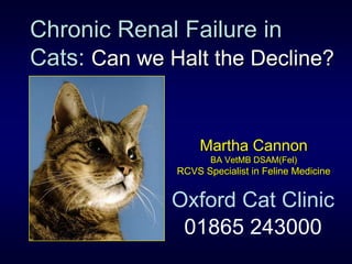 Chronic Renal Failure in
Cats: Can we Halt the Decline?
Martha Cannon
BA VetMB DSAM(Fel)
RCVS Specialist in Feline Medicine
Oxford Cat Clinic
01865 243000
 