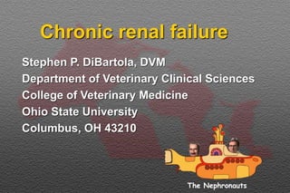 Chronic renal failure
Stephen P. DiBartola, DVM
Department of Veterinary Clinical Sciences
College of Veterinary Medicine
Ohio State University
Columbus, OH 43210
The Nephronauts
 