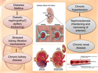 Chronic renal failure and its management 2.pptx