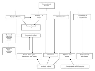 Decreased renal Function Decreased 1.25 (oh) 2 D 3 A1 3+  Intoxication Accumulation of β 2  microglobulin Hyperphosphatemia Decreased ionized Ca 2+ Hyperparathyroidism Decreased expression of calcium- sensing receptor Hyperplasia Of the parathyroid glands Osteitis fibrosa cystica (high-turnover bone disease) Osteomalacia Adynamic bone disease Dialysis-related amyloidosis Metabolic acidosis Excess Ca and vit D,PD,diabetes 