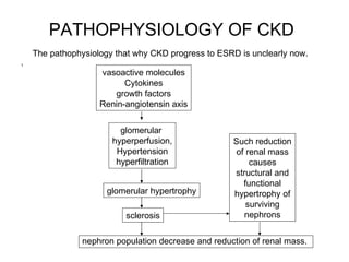 PATHOPHYSIOLOGY OF CKD   1 The pathophysiology that why CKD progress to ESRD is unclearly now. vasoactive molecules Cytokines growth factors Renin-angiotensin axis glomerular  hyperperfusion, Hypertension hyperfiltration glomerular hypertrophy sclerosis nephron population decrease and reduction of renal mass.  Such reduction of renal mass causes structural and functional hypertrophy of surviving nephrons 